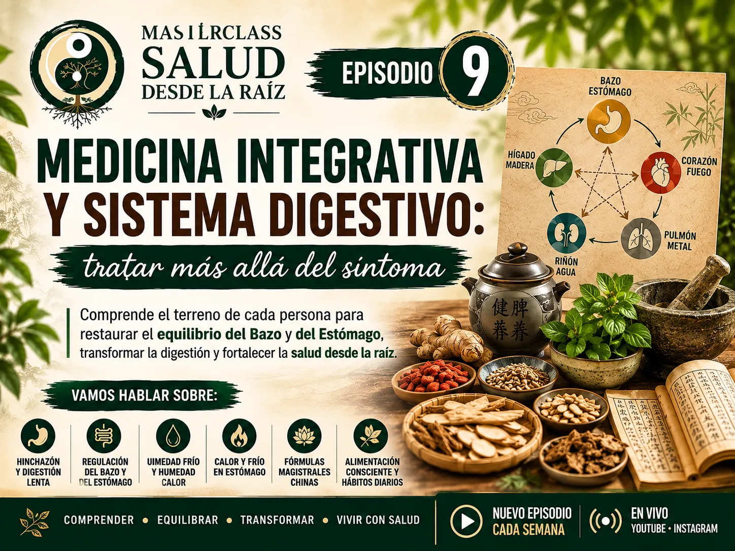 Imagen Episodio 9 - Sistema Digestivo