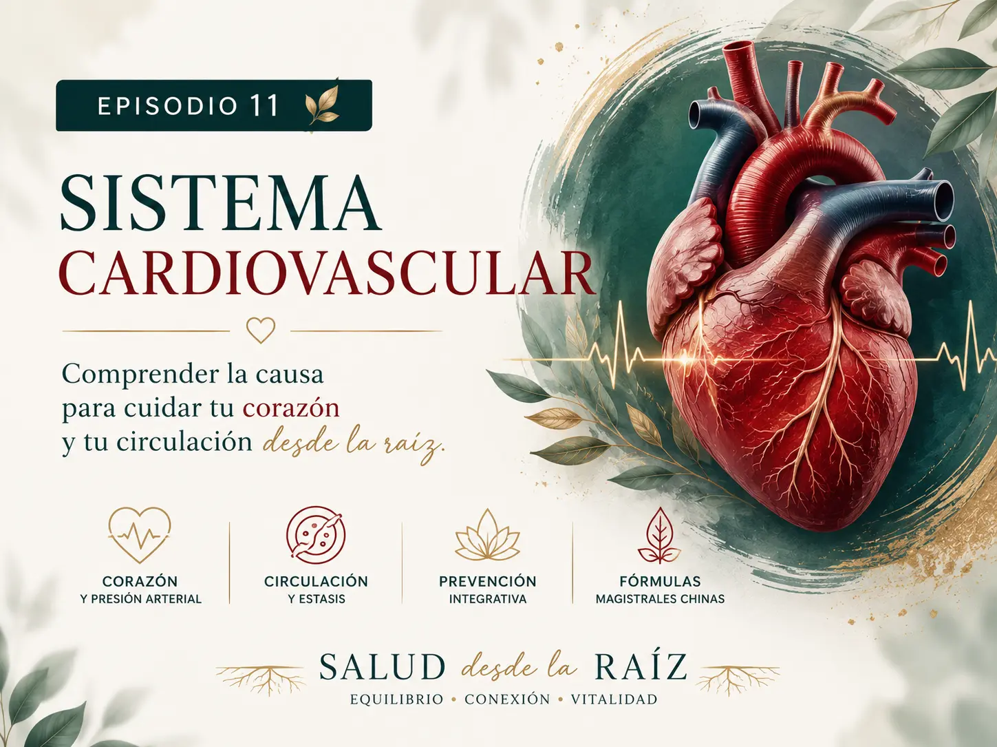 imagen episodio 11 - sistema cardiovascular